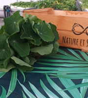 Nature et Saveurs - Ferme Aquaponique et Permacole Astérienne - Capucine grande feuille - 500g