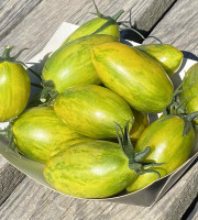 Ferme Sinsac - Tomates green zebra type olivettes