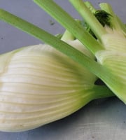 Le Pré de la Rivière - Fenouil bio - Origine France
