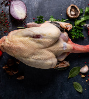 LA FERME DE COLLONGE - CHAPON FERMIER PRET A CUIRE