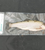 Nature et Saveurs - Ferme Aquaponique et Permacole Astérienne - Truites blanches portion – Élevées en aquaponie