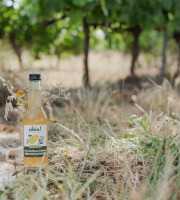 Sibio - Thé matcha pomme menthe poivrée - 33cl