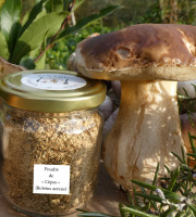 Terres EnVie - Champignon Bio -  Cèpe En Poudre