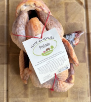 Ferme du Vidalies - lot de 6 pintades de 1,6kg