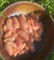 Des Poules et des Vignes à Bourgueil - (Offre réservée) - 500g de rognons de coq + 2,5kg de crètes de coq