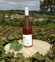 Domaine Doudeau-Leger - Sancerre Rosé AOC 2023 - 1 Bouteille