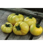 Les Jardins de Mondpa - tomate blanche à orange