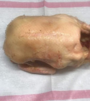 Des Poules et des Vignes à Bourgueil - Canard gras découpé