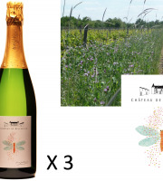 Château de Belleville Maison Baron - Les Festives Blanc AOC Crémant de Loire Brut Blanc de Blanc