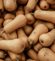 Nature et Saveurs - Ferme Aquaponique et Permacole Astérienne - Courge Butternut - 2kg