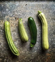 La Ferme d'Artaud - 3kg de courgettes panachées