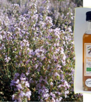 L'Agricueilleur du Suzon - Sirop de Thym BIO - 25cl