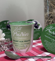 Lait Prairies du Boulonnais - Yaourt brassé à la myrtille x4