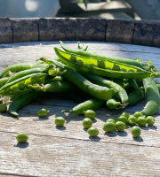 La Boite à Herbes - Petit Pois - 250g