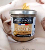 Terre de Gallie - TERRINE DE CANARD SAVEUR PREFOU NOUVEAUTE AUTOMNE 2025