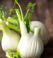 Les Jardins de Gérard - Fenouil Bio - 1 kg