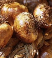 L'OLIVERAIE DU COUDON - AIL FUMÉ EN TRESSE 1KG