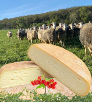 Dessine moi une brebis - Brebichon de brebis 400g