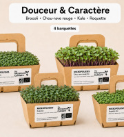 Ma Micropousse culinaire - Micro-pousses bio – Pack Douceur & Caractère – Brocoli, chou rouge, kale & roquette – 4 barquettes