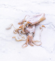 Poissonnerie La Piriacaise - encornet entiers non nettoyés