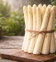 Nature et Saveurs - Ferme Aquaponique et Permacole Astérienne - Asperge blanche 18/22 – équilibre et finesse de printemps