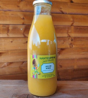 Verger Nantes Prim - Smoothie de kiwi jaune (75 cl)