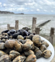 Saint Kerber - Cancale - Mix de la mer 3kgs - Moules STG/Palourdes/Bigorneaux