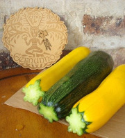 Ferme de Cernunnos - Mix de courgettes colorées bio - 500g
