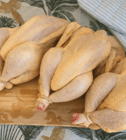 Ferme des Gravelines - Poulet entier fermier BIO 2kg – Lot de 3