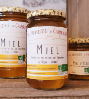 Les Butineuses de Champigny - Miel d'acacia bio - 500g