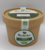 Néoherba - Thym Citronné