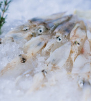 Côté Fish - Mon poisson direct pêcheurs - Piste