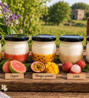 Gaec de l'Elanion - lot de 10 fromages blancs fruits exotiques