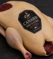 Des Poules et des Vignes à Bourgueil - Canard au sang