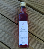 TK Bio - The Kefir et Kombucha Compagnie - Vinaigre Gastronomique de Kombucha Hibiscus Menthe