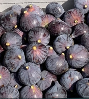 Délit de Gourmandise - Figues Noires Fraiches Bio - 2 kg