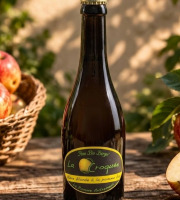 Pom Bio Berger - Bière blonde à la pomme La croquée Bio 33cl