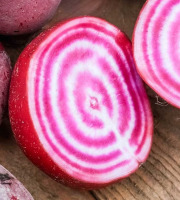Nature et Saveurs - Ferme Aquaponique et Permacole Astérienne - Betterave Chioggia – Sans fanes