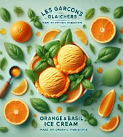 Les Garçons Glaciers - Sorbet BIO Orange Basilic 500ml