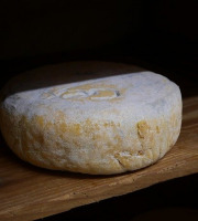 Alléosse Maitre Artisan Affineur Fromager - Bleu de Gex de Montagne AOP au lait cru