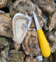 Huitres Damerose - Huitres naturelles Spéciale n°3 - 2 douzaines (25 pièces)