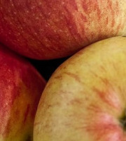 Mon Petit Producteur - Pomme Bio Boskoop - 1kg