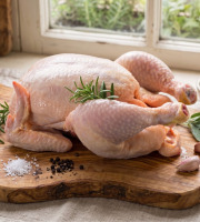 Terres de Bon Sens - [Précommande] Poulet BIO mini env 1,5kg