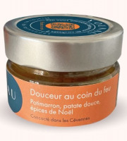 YOUNAU – Histoires de tartinades - Tartinade apéritive : Douceur au coin du feu - Potimarron, patate douce, épices de Noël