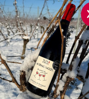 Domaine de la Perrée - Saint Nicolas de Bourgueil Rouge - Un Franc Succès