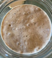 Ferme Sinsac - Levain au blé, grand épeautre et petit épeautre complet 200 grs