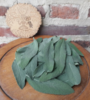 Ferme de Cernunnos - Feuilles fraiches de Sauge Officinale
