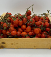 Le Panier du Producteur - Tomate Cerises - 1 Kg