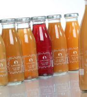 Les délices de Noémie - Lot De Jus Bio pour bébé: Raisin Rouge, Pomme-poire, Pomme-abricot (6x25cl)