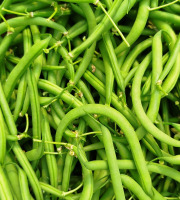 Nature et Saveurs - Ferme Aquaponique et Permacole Astérienne - Haricot Vert Très Fins Sans Fil Ramassé Main